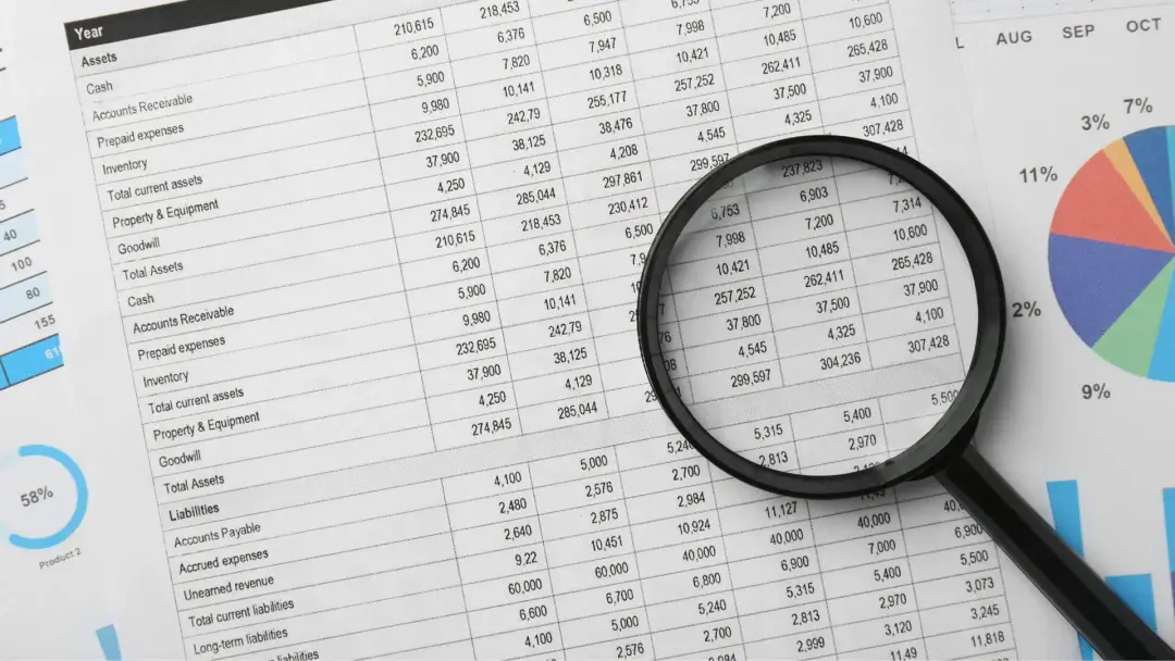 Professional Bookkeeping Services